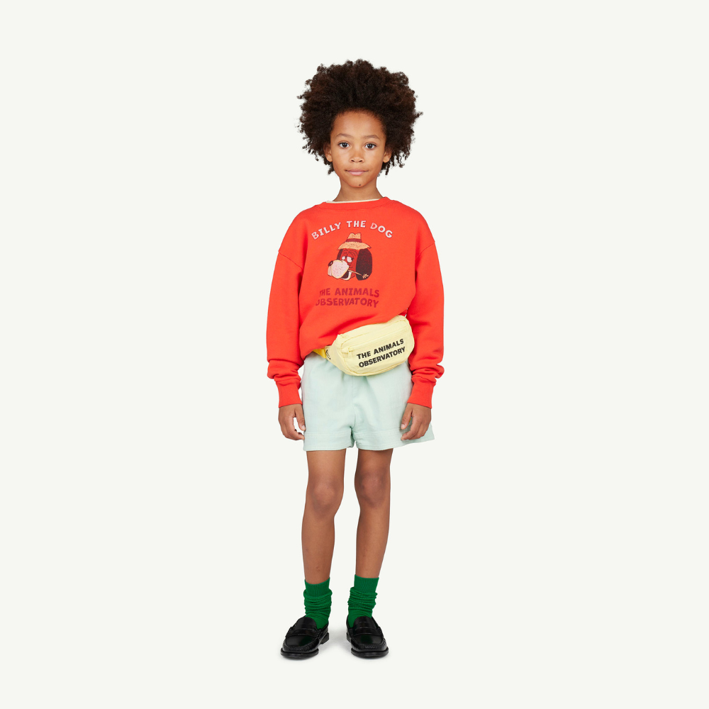 The Animals Observatory Bear Kids Sweatshirt, Red for kids