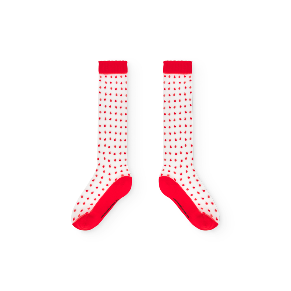 Mini Sock Observer The Animals Observatory Hen Kid Socks, Red – Tinyapple